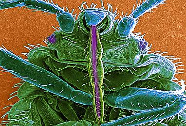 《守望先锋2》玩家活性下降 动视暴雪希望PvE力缆狂澜